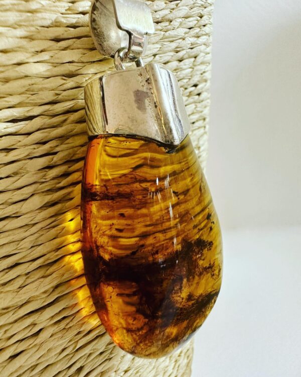Dominican Amber Raw Collection